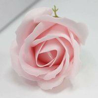 Mýdlový květ růže růžový