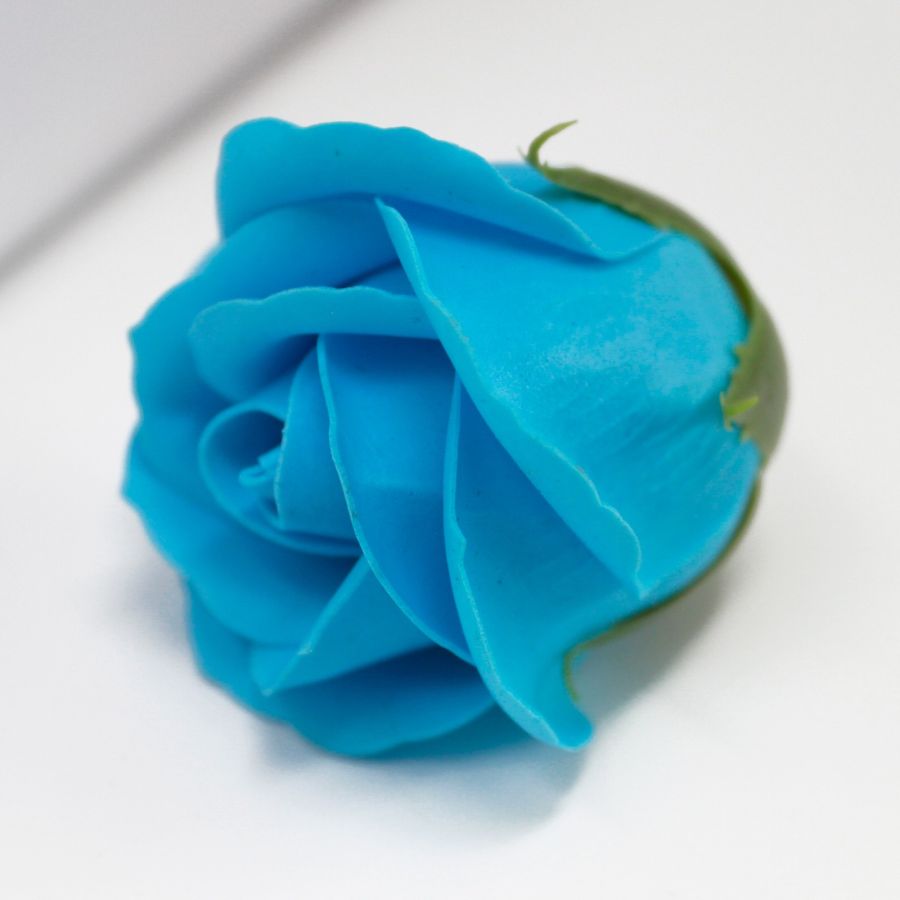 Mýdlový květ růže modrý