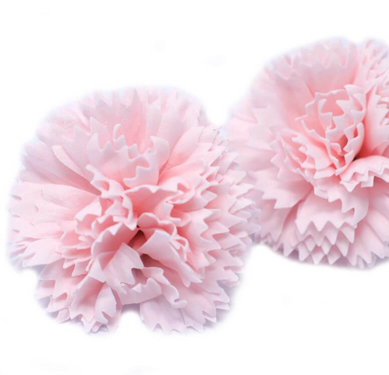 Mýdlový květ karafiát růžový