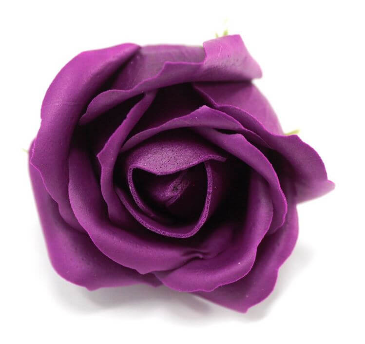 Mýdlový květ růže fialový