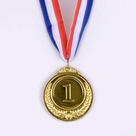 Kovová medaile - 1. místo