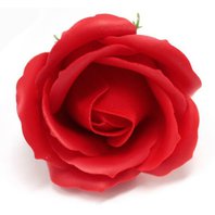 Mýdlový květ růže červený